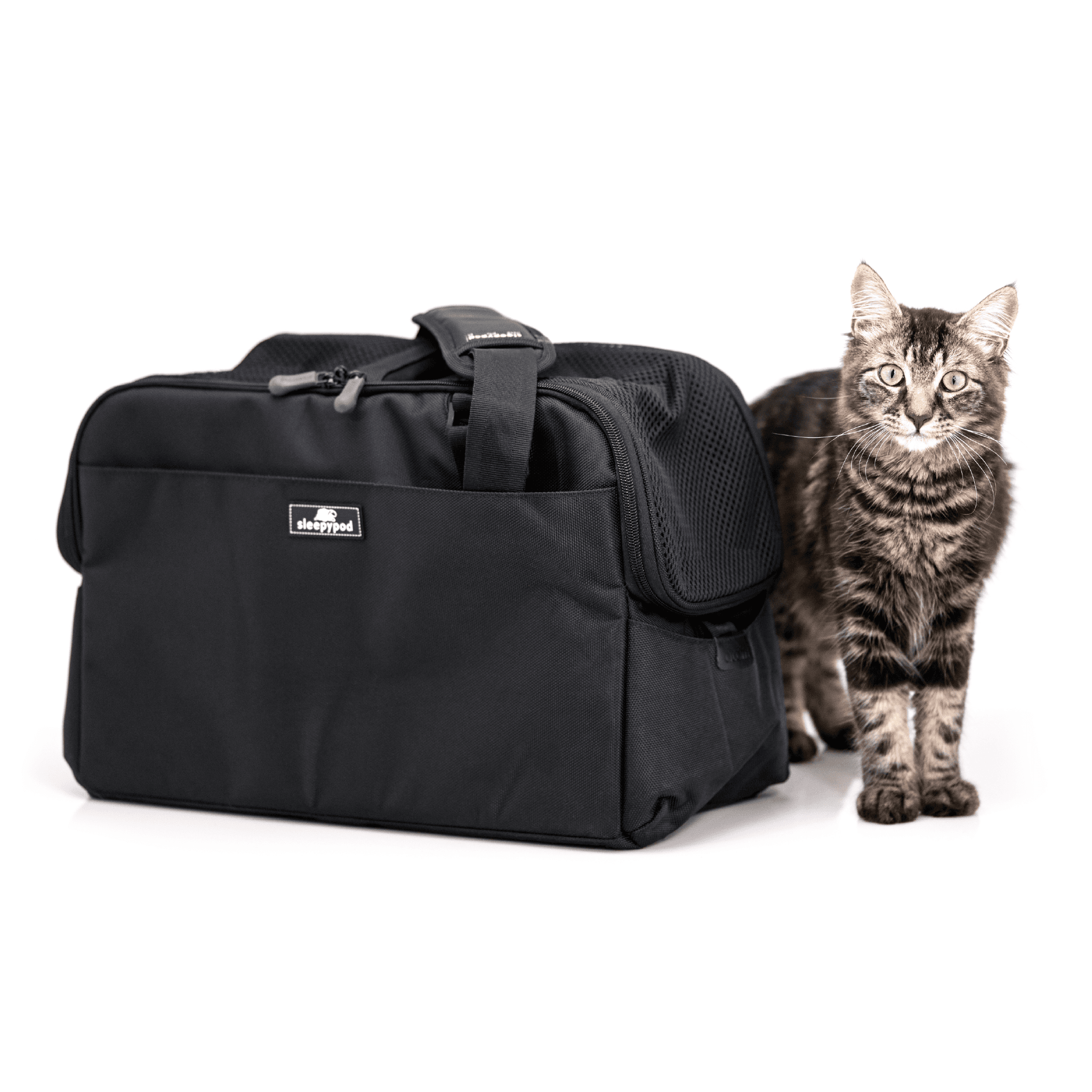 Black Sleepypod Atom carrier beside a tabby cat.